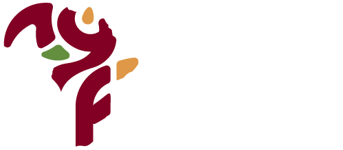 Africa Youth Festival